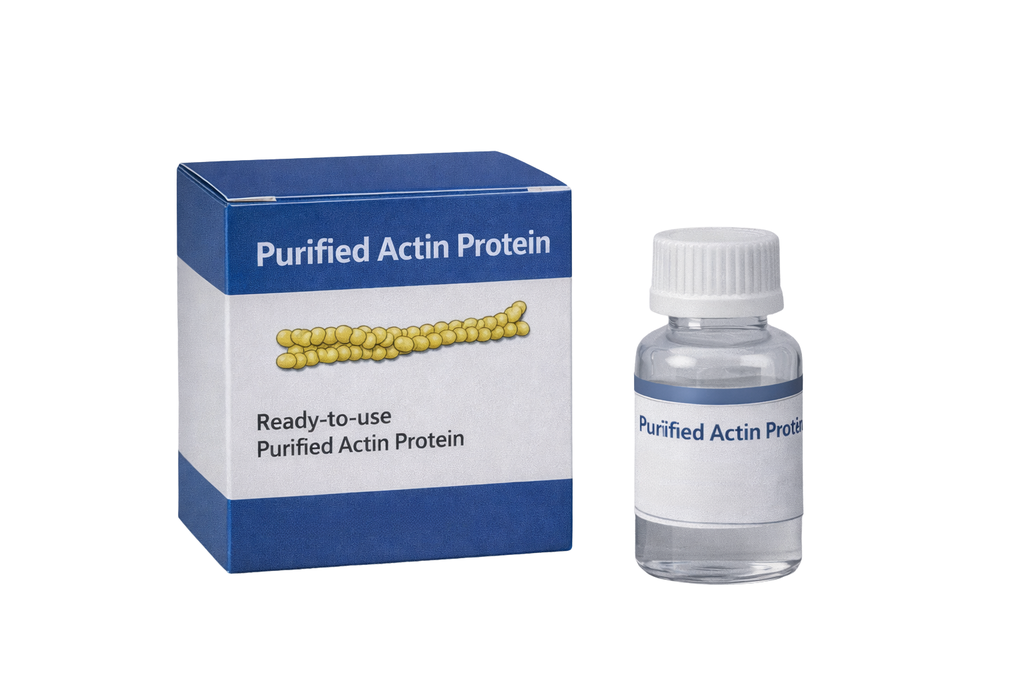 [AKL99-B] Actin protein (rabbit skeletal muscle >99% pure)